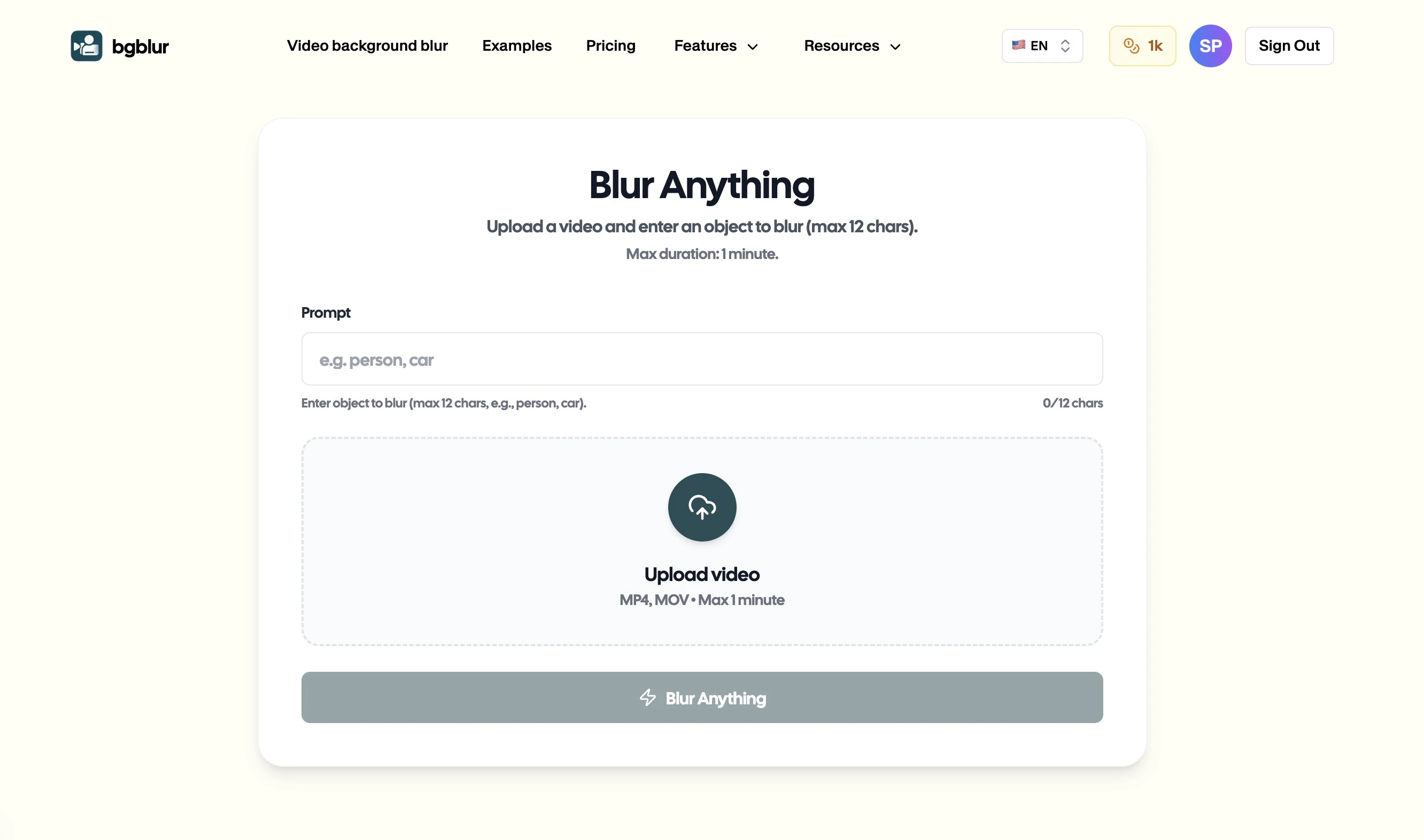 Blur Anything in Video: AI-Powered Object, Face & Background Blur Tool