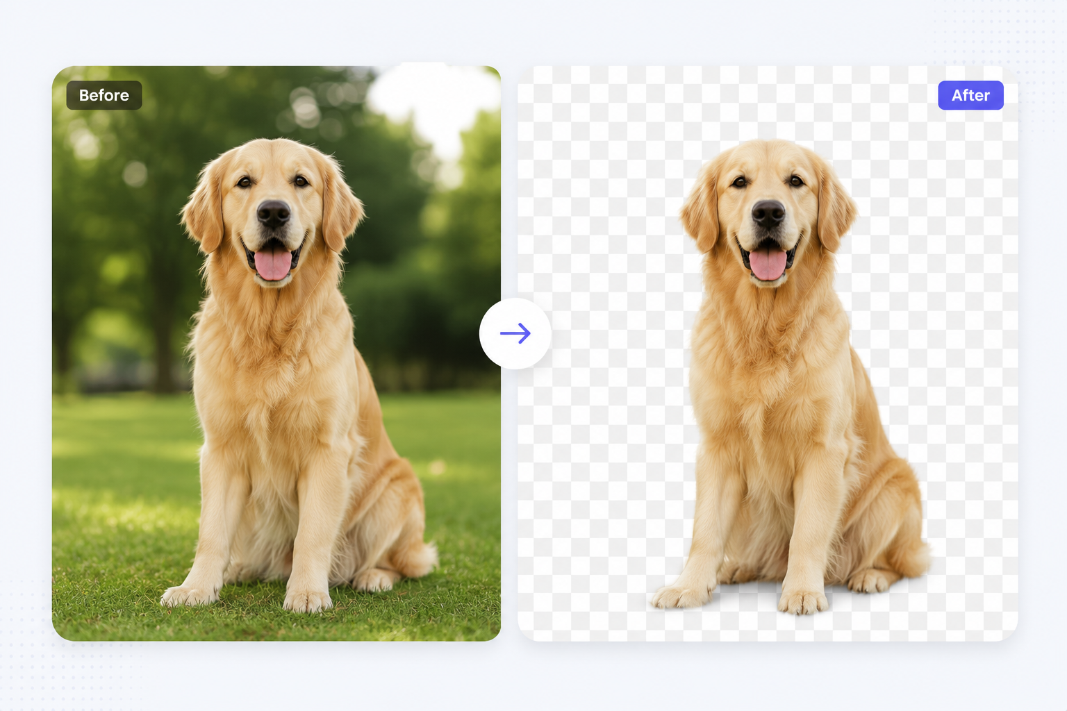 Background Changer Edited output preview