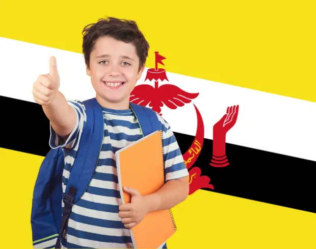 AI brunei flag screen alternative for professional videos—add brunei flag background without gear for social media, remote work, or video calls