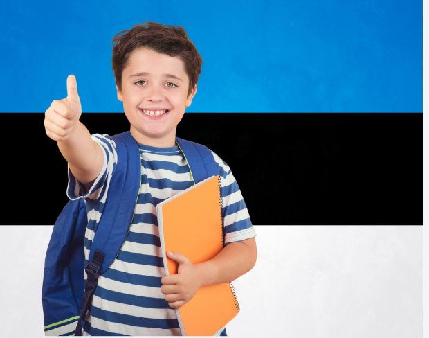 AI estonia flag screen alternative for professional videos—add estonia flag background without gear for social media, remote work, or video calls