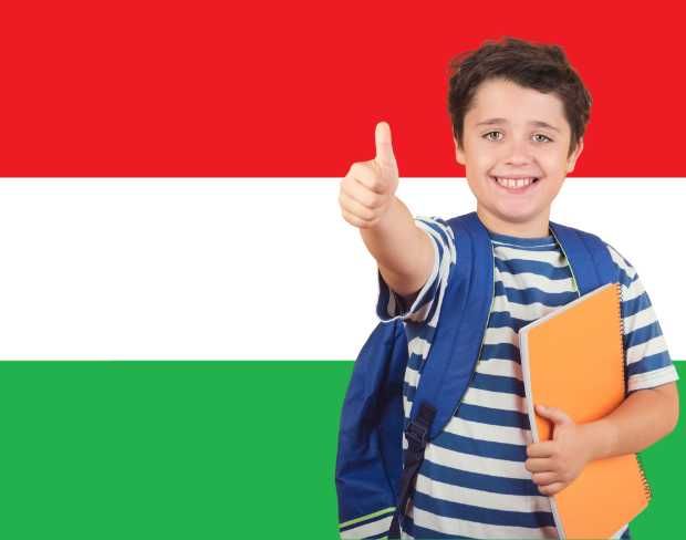 AI hungary flag screen alternative for professional videos—add hungary flag background without gear for social media, remote work, or video calls