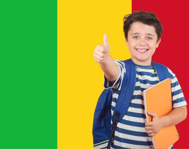 AI mali flag screen alternative for professional videos—add mali flag background without gear for social media, remote work, or video calls