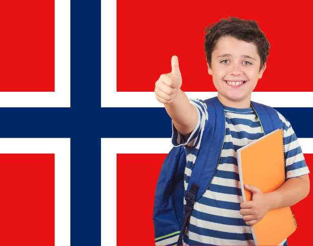 AI norway flag screen alternative for professional videos—add norway flag background without gear for social media, remote work, or video calls