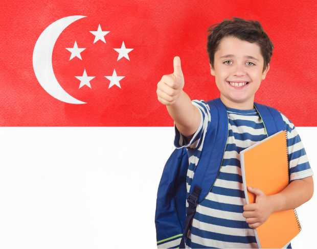 AI singapore flag screen alternative for professional videos—add singapore flag background without gear for social media, remote work, or video calls