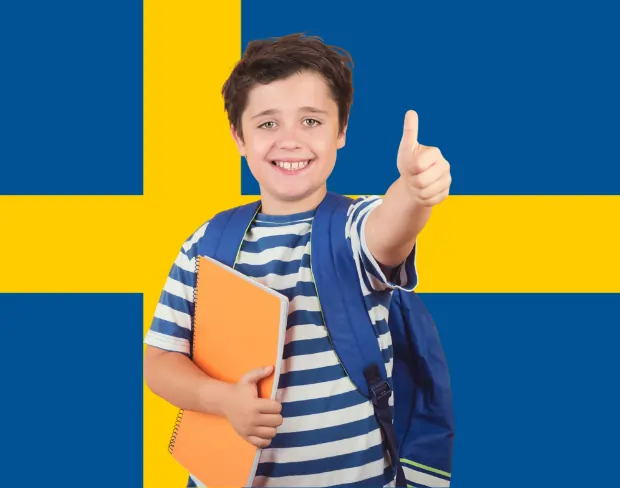 AI sweden flag screen alternative for professional videos—add sweden flag background without gear for social media, remote work, or video calls