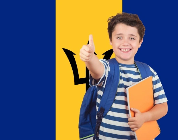 AI barbados flag screen alternative for professional videos—add barbados flag background without gear for social media, remote work, or video calls