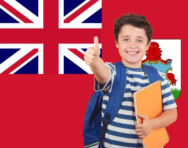 AI bermuda flag screen alternative for professional videos—add bermuda flag background without gear for social media, remote work, or video calls
