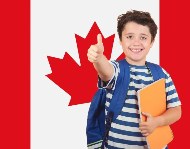 AI canada flag screen alternative for professional videos—add canada flag background without gear for social media, remote work, or video calls