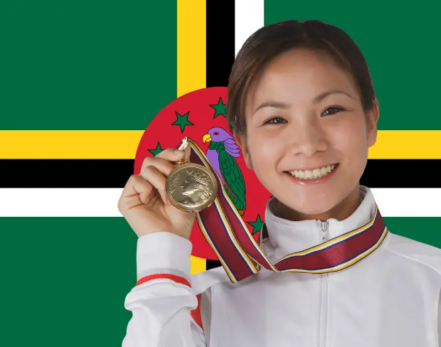 Add dominica flag video background with AI—no green screen needed. Add virtual, dominica flag, or custom backgrounds instantly.