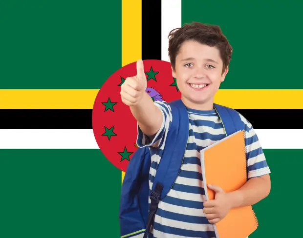 AI dominica flag screen alternative for professional videos—add dominica flag background without gear for social media, remote work, or video calls