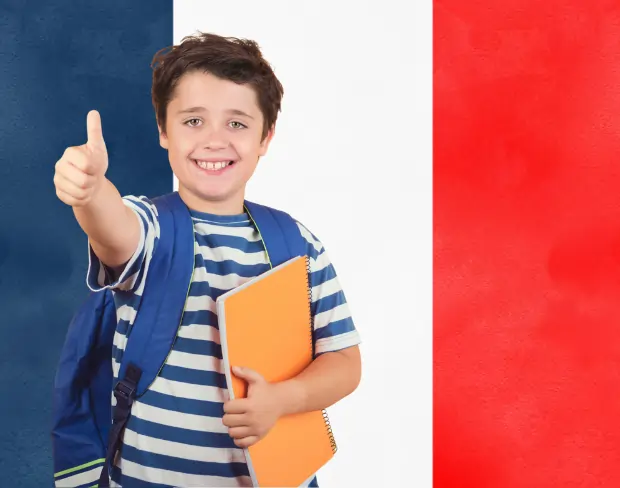 AI france flag screen alternative for professional videos—add france flag background without gear for social media, remote work, or video calls