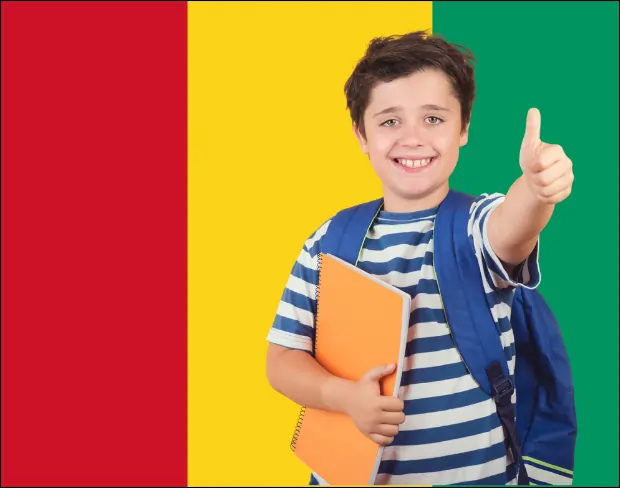 AI guinea flag screen alternative for professional videos—add guinea flag background without gear for social media, remote work, or video calls