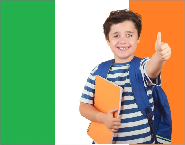 AI ireland flag screen alternative for professional videos—add ireland flag background without gear for social media, remote work, or video calls