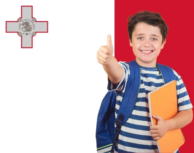 AI malta flag screen alternative for professional videos—add malta flag background without gear for social media, remote work, or video calls