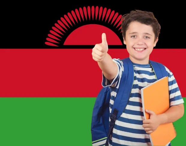 AI malawi flag screen alternative for professional videos—add malawi flag background without gear for social media, remote work, or video calls