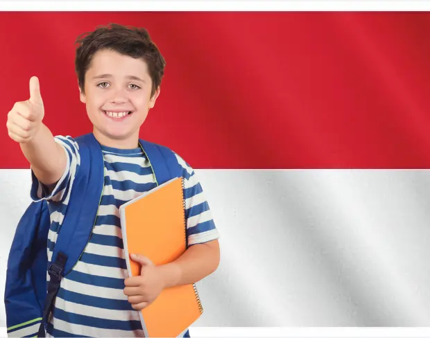 AI monaco flag screen alternative for professional videos—add monaco flag background without gear for social media, remote work, or video calls