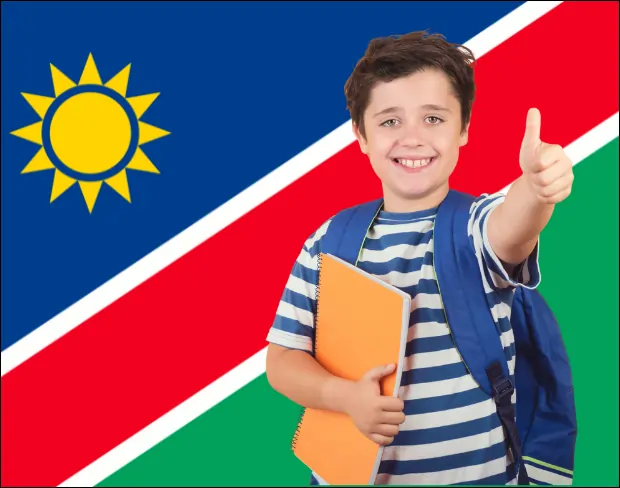 AI namibia flag screen alternative for professional videos—add namibia flag background without gear for social media, remote work, or video calls