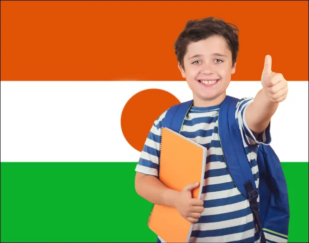 Bulk upload videos for batch niger flag background addition: man meditating, car, dog, child, auto niger flag background adder for creators.