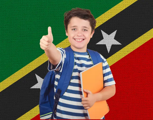 AI saintkittsandnevis flag screen alternative for professional videos—add saintkittsandnevis flag background without gear for social media, remote work, or video calls