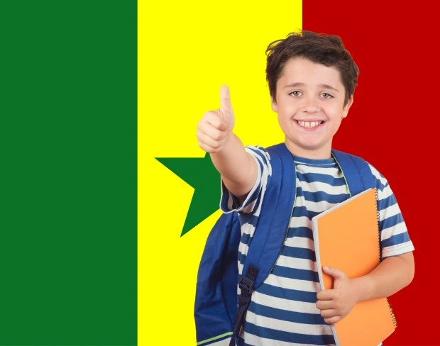AI senegal flag screen alternative for professional videos—add senegal flag background without gear for social media, remote work, or video calls