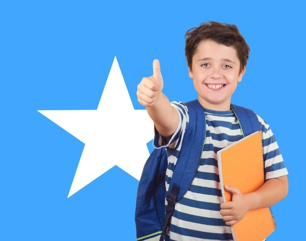 AI somalia flag screen alternative for professional videos—add somalia flag background without gear for social media, remote work, or video calls