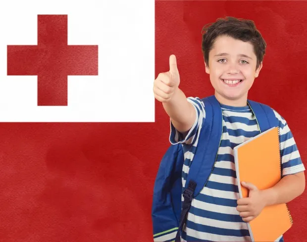 AI tonga flag screen alternative for professional videos—add tonga flag background without gear for social media, remote work, or video calls