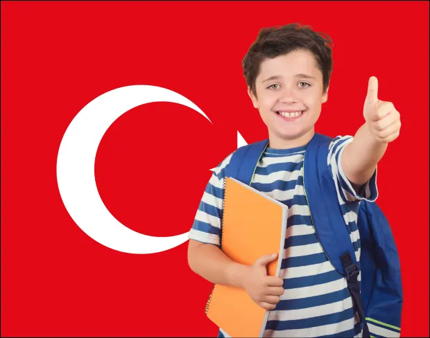 AI turkey flag screen alternative for professional videos—add turkey flag background without gear for social media, remote work, or video calls