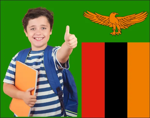 AI zambia flag screen alternative for professional videos—add zambia flag background without gear for social media, remote work, or video calls