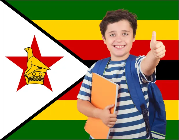 AI zimbabwe flag screen alternative for professional videos—add zimbabwe flag background without gear for social media, remote work, or video calls